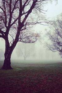 Coffee-powered reader