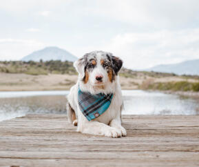 Nora, Technical Team Lead