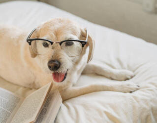 Reply from the community