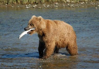 Coffee-powered reader