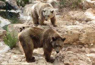 Coffee-powered reader