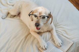 Maya, Senior Engineer