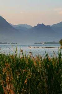 Aisha, Data & Analytics Lead