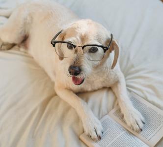 Maya, Senior Engineer
