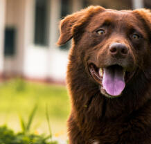 Coffee-powered reader