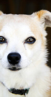 Reply from the community